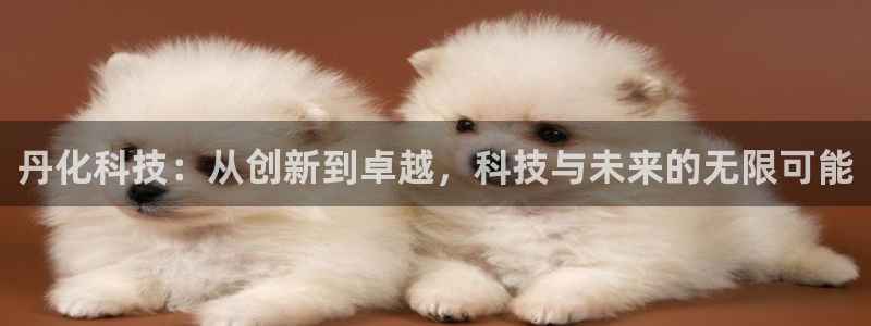 丹化科技：从创新到卓越，科技与未来的无限可能