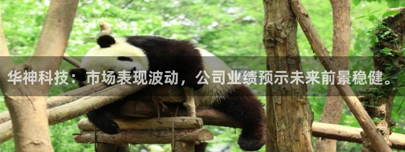 华神科技：市场表现波动，公司业绩预示未来前景稳健。