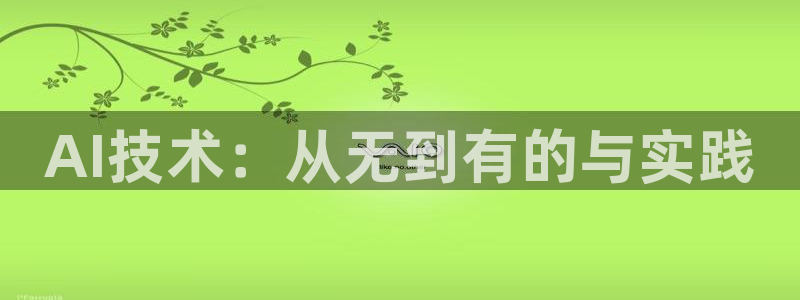 AI技术：从无到有的与实践