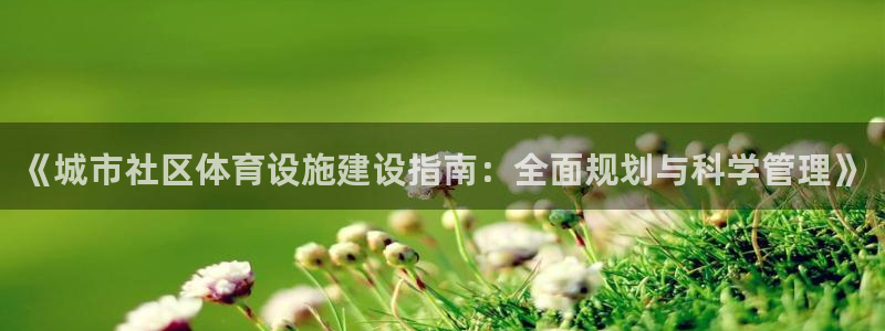 《城市社区体育设施建设指南：全面规划与科学管理》