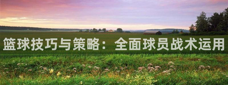 篮球技巧与策略：全面球员战术运用