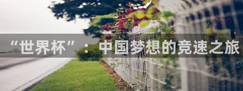 “世界杯”：中国梦想的竞速之旅