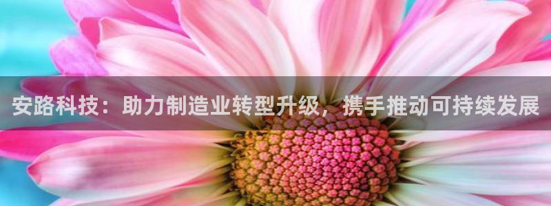 安路科技：助力制造业转型升级，携手推动可持续发展