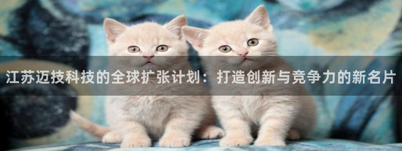 江苏迈技科技的全球扩张计划：打造创新与竞争力的新名片