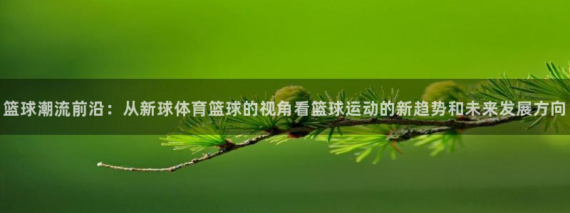 篮球潮流前沿：从新球体育篮球的视角看篮球运动的新趋势和未来发展方向