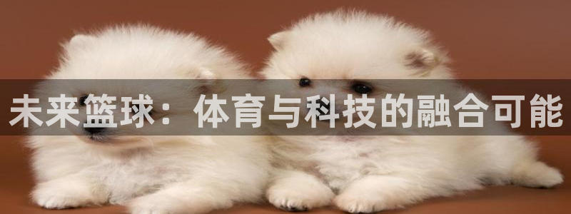 未来篮球：体育与科技的融合可能