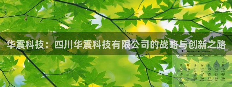 华震科技：四川华震科技有限公司的战略与创新之路