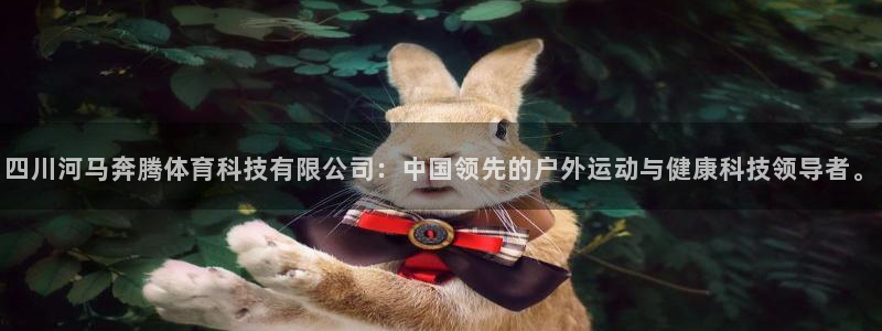 四川河马奔腾体育科技有限公司：中国领先的户外运动与健康科技领导者。
