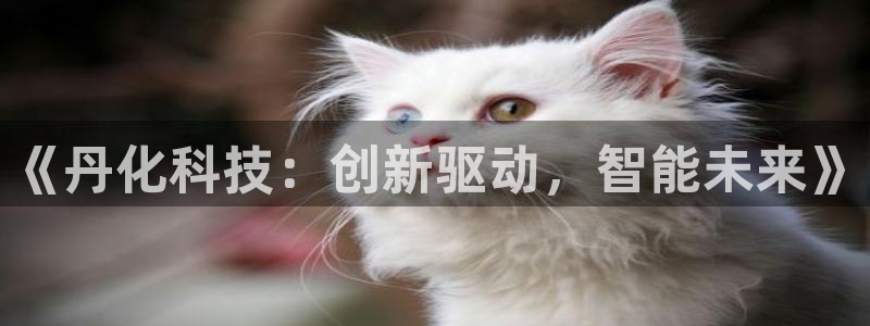 《丹化科技：创新驱动，智能未来》