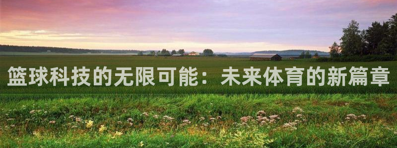 篮球科技的无限可能：未来体育的新篇章