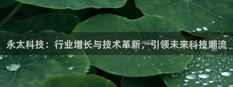 永太科技：行业增长与技术革新，引领未来科技潮流