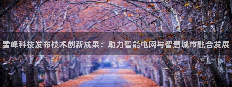 雪峰科技发布技术创新成果：助力智能电网与智慧城市融合发展