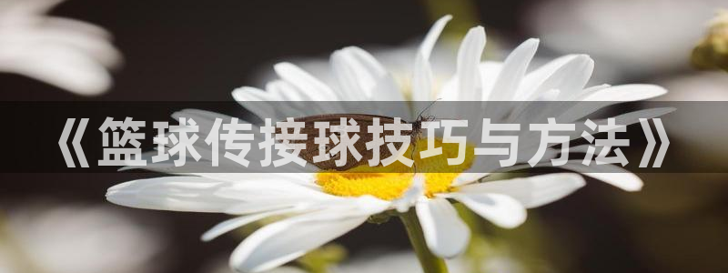 《篮球传接球技巧与方法》