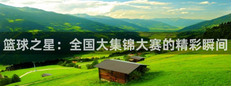 篮球之星：全国大集锦大赛的精彩瞬间