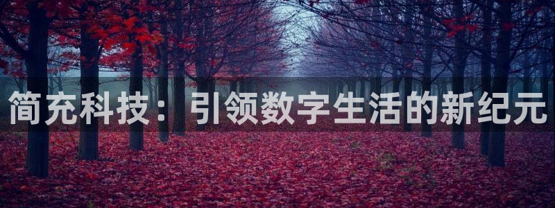 简充科技：引领数字生活的新纪元