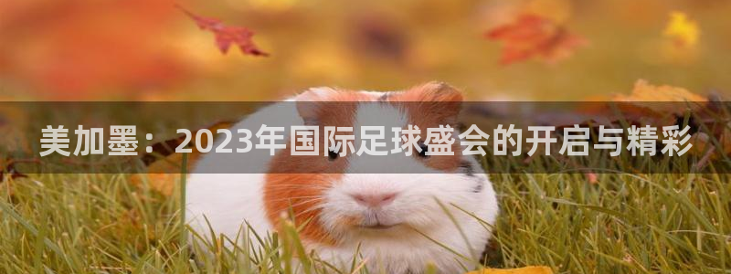 美加墨：2023年国际足球盛会的开启与精彩