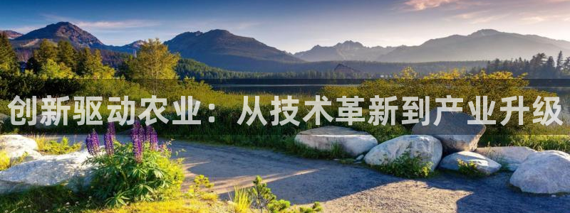 创新驱动农业：从技术革新到产业升级