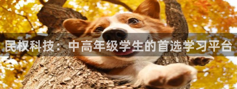 民权科技：中高年级学生的首选学习平台