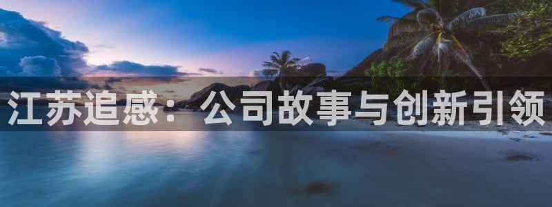 江苏追感：公司故事与创新引领
