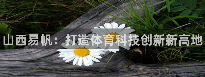 山西易帆：打造体育科技创新新高地