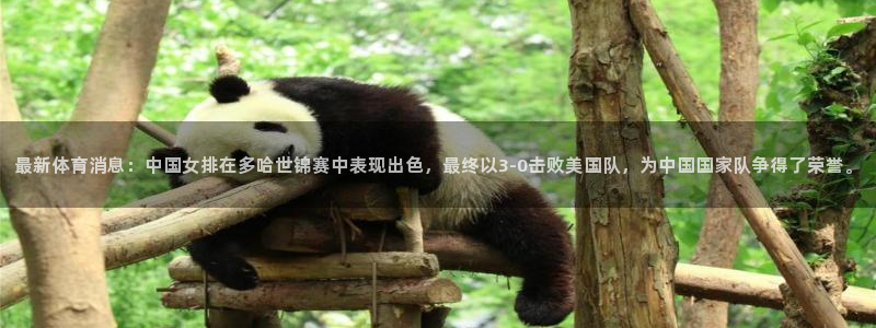 最新体育消息：中国女排在多哈世锦赛中表现出色，最终以3-0击败美国队，为中国国家队争得了荣誉。