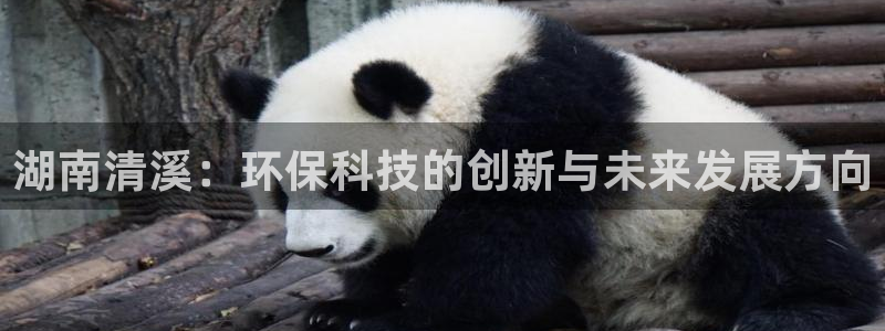 湖南清溪：环保科技的创新与未来发展方向