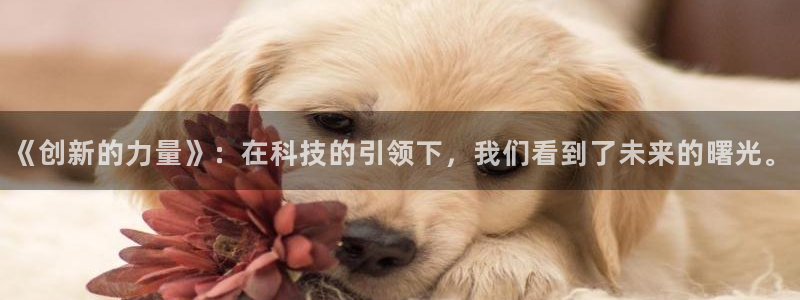 《创新的力量》：在科技的引领下，我们看到了未来的曙光。