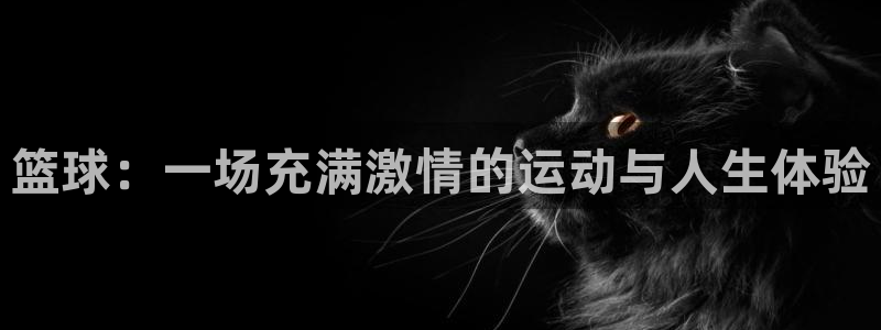 篮球：一场充满激情的运动与人生体验
