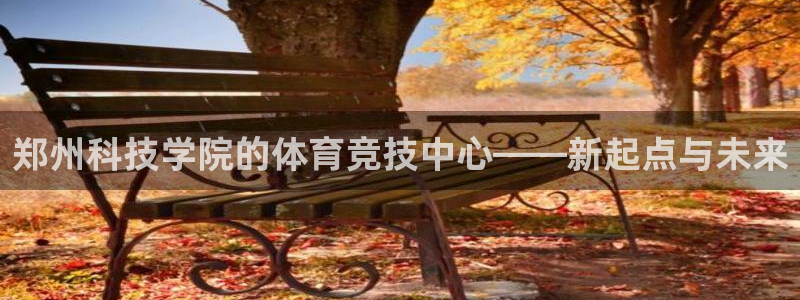 郑州科技学院的体育竞技中心——新起点与未来