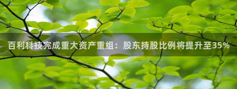 百利科技完成重大资产重组：股东持股比例将提升至35%